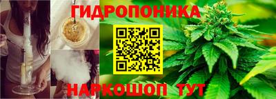 молекула духа Гатчина