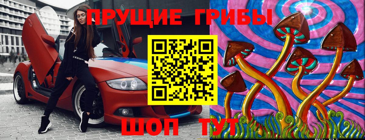 Галлюциногенные грибы Psilocybe  Псилоцибиновые грибы Psilocybe  Балашиха  Вход с VPN 